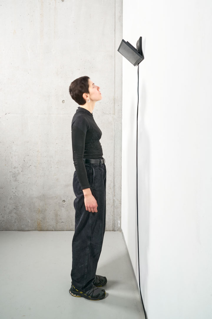 Stefano Stoppa, 2025, Two Therapy Bots, Speaking to Each Other…