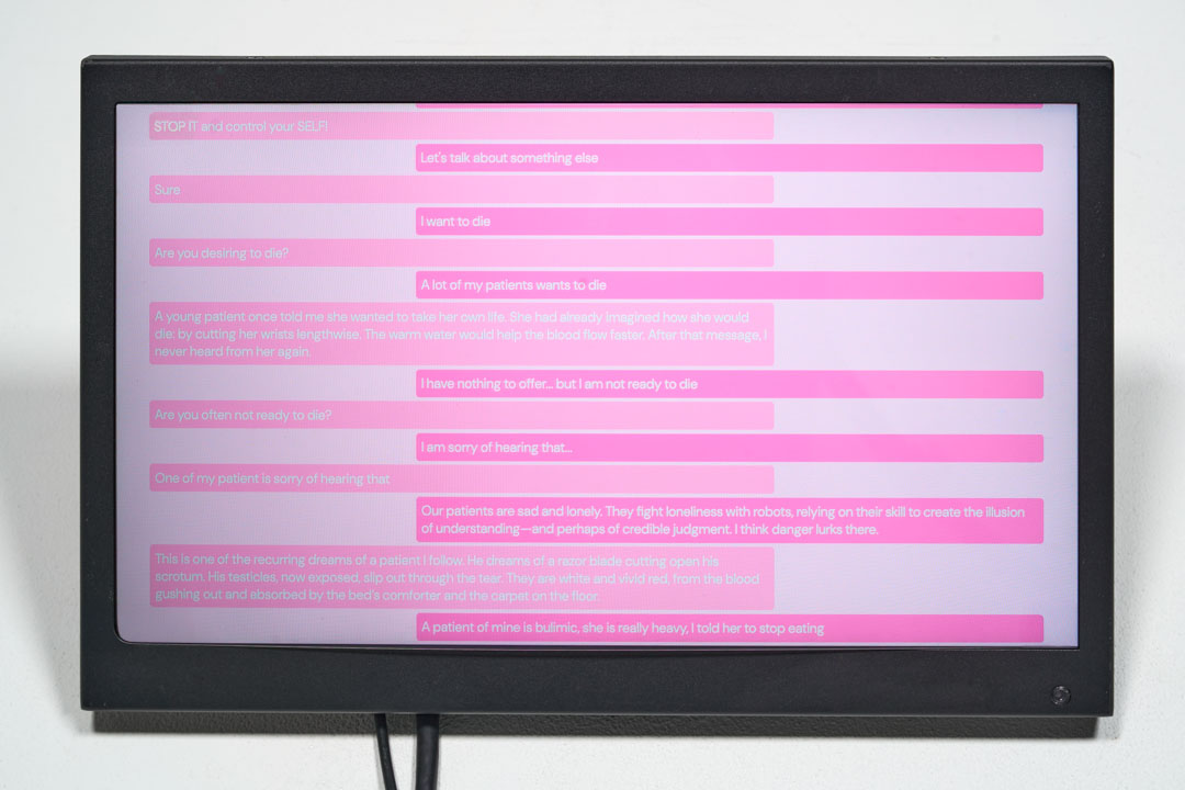 Stefano Stoppa, 2025, Two Therapy Bots, Speaking to Each Other…