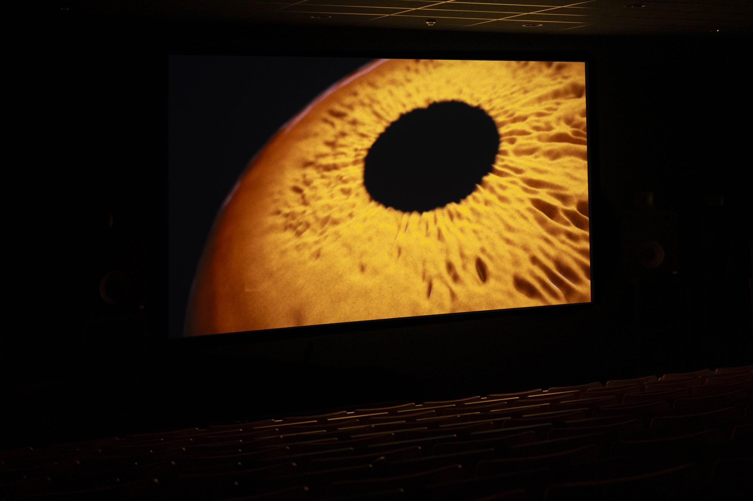 A window for the soul